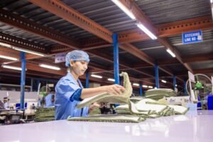 Extra-large plastic machine vs standard: what’s different? (2026)